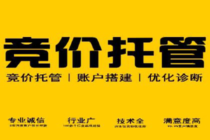 成功SEM推广代运营案例分享
